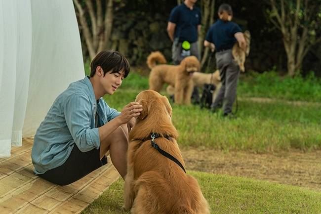 🎬韩国疗愈电影《小狗狗》定档3月1日上映❗️帮疼爱的宠物找新主人🐶