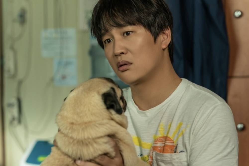 🎬韩国疗愈电影《小狗狗》定档3月1日上映❗️帮疼爱的宠物找新主人🐶