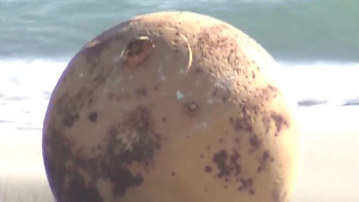 jepun jumpa objek misteri atas pantai, warganet kata kapal ufo