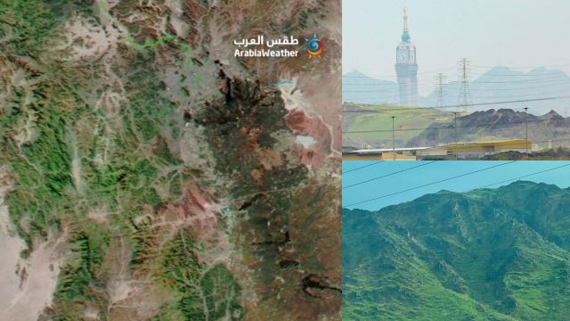 pergunungan, gurun wilayah barat arab saudi mula subur, tumbuh-tumbuhan kini ‘menghijau’