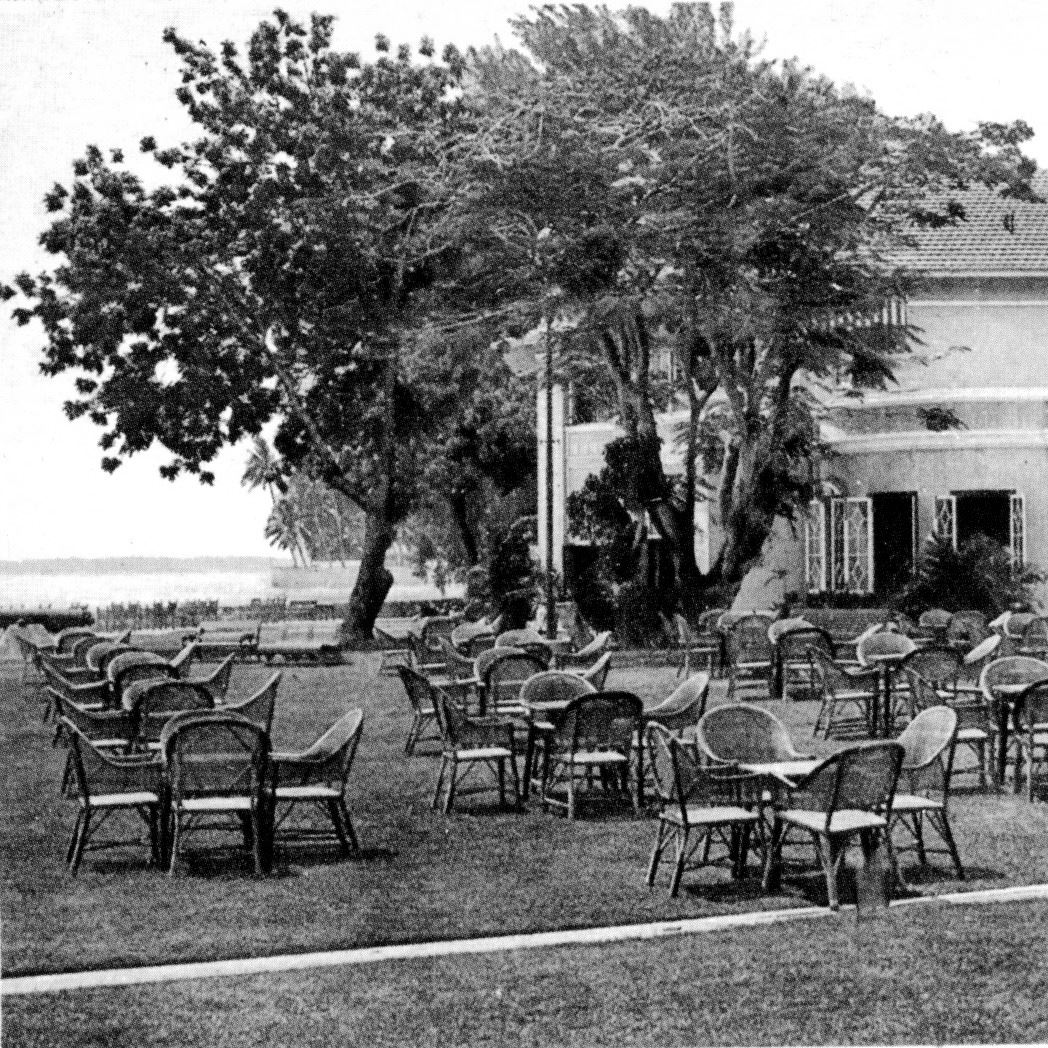 EO Hotel Jave Tree