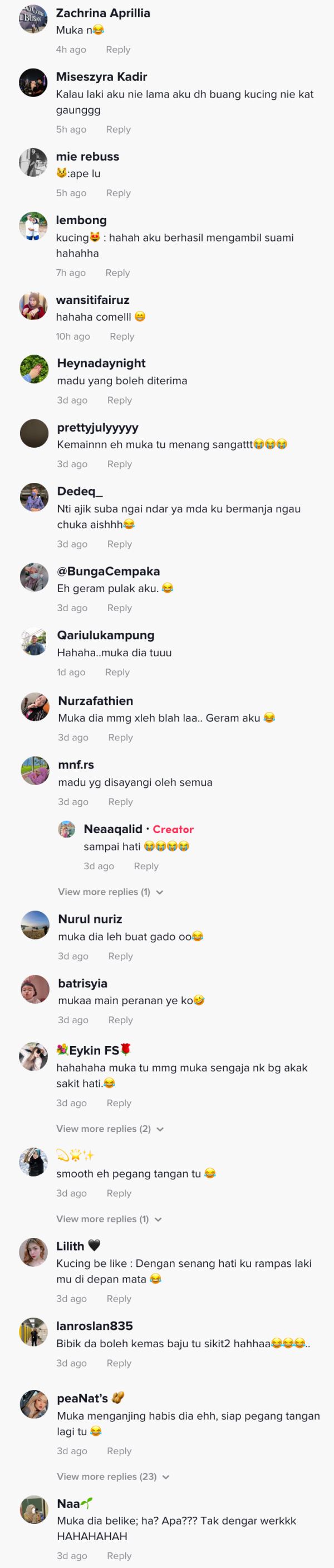 “amboi tak hormat betul bini kat sebelah,” gelagat kucing jadi ‘perampas’ curi perhatian ramai [video]