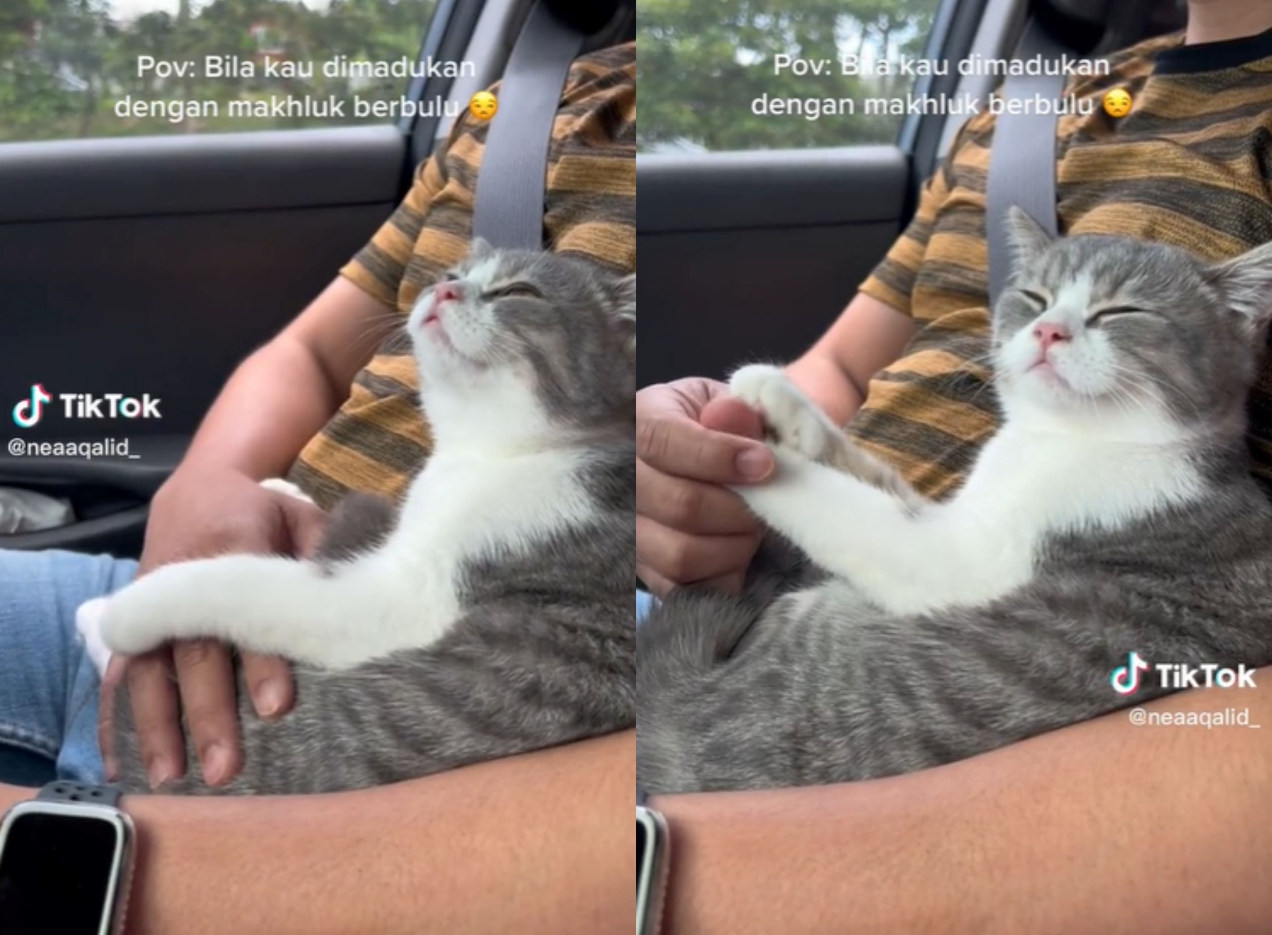 “the other woman” woman shares how her cat has been hogging her husband’s attention