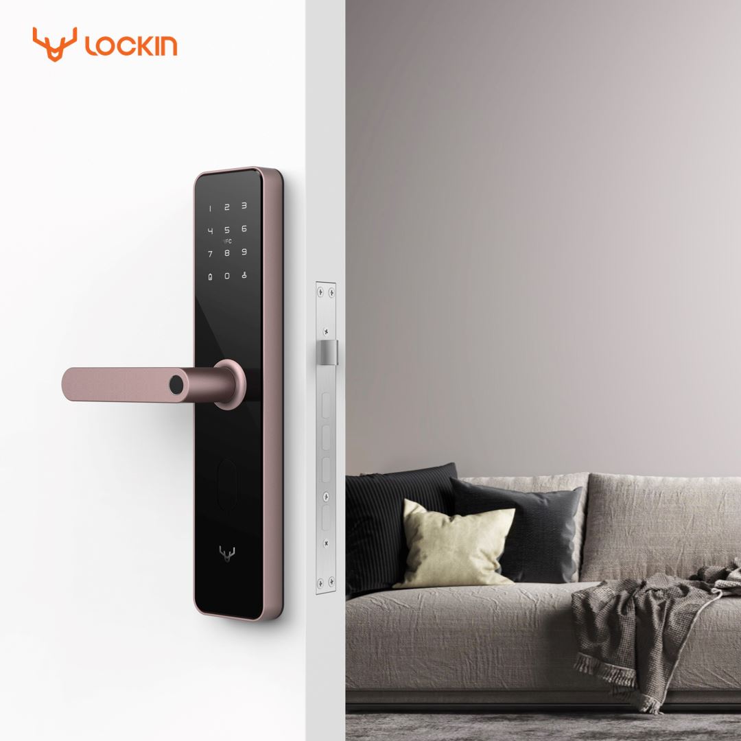 LOCKIN Malaysia Smart Door
