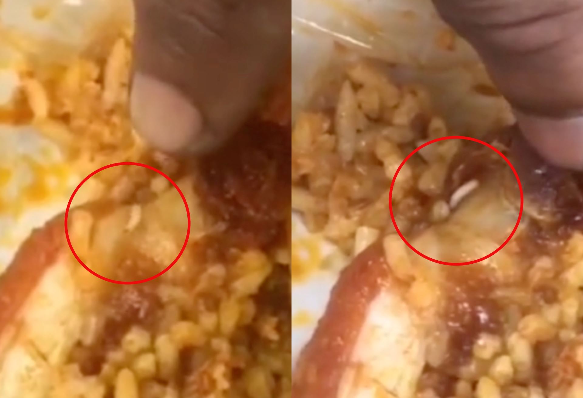 man finds maggot in his fried chicken, calls out nasi kandar restaurant for allegedly recycling old food! 