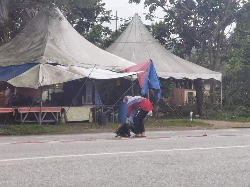 sanggup alih bangkai anjing tengah jalan raya, wanita ini terima pujian ramai