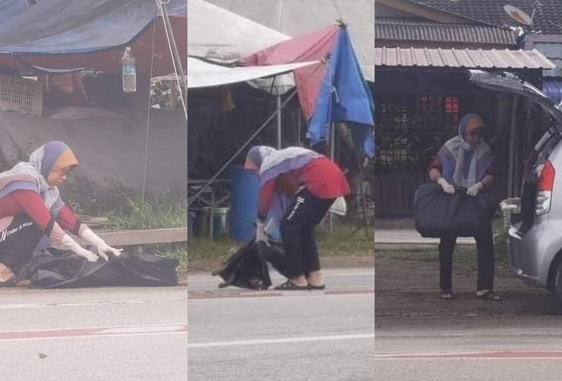m’sians praise kind woman in terengganu for removing dog’s remains from street
