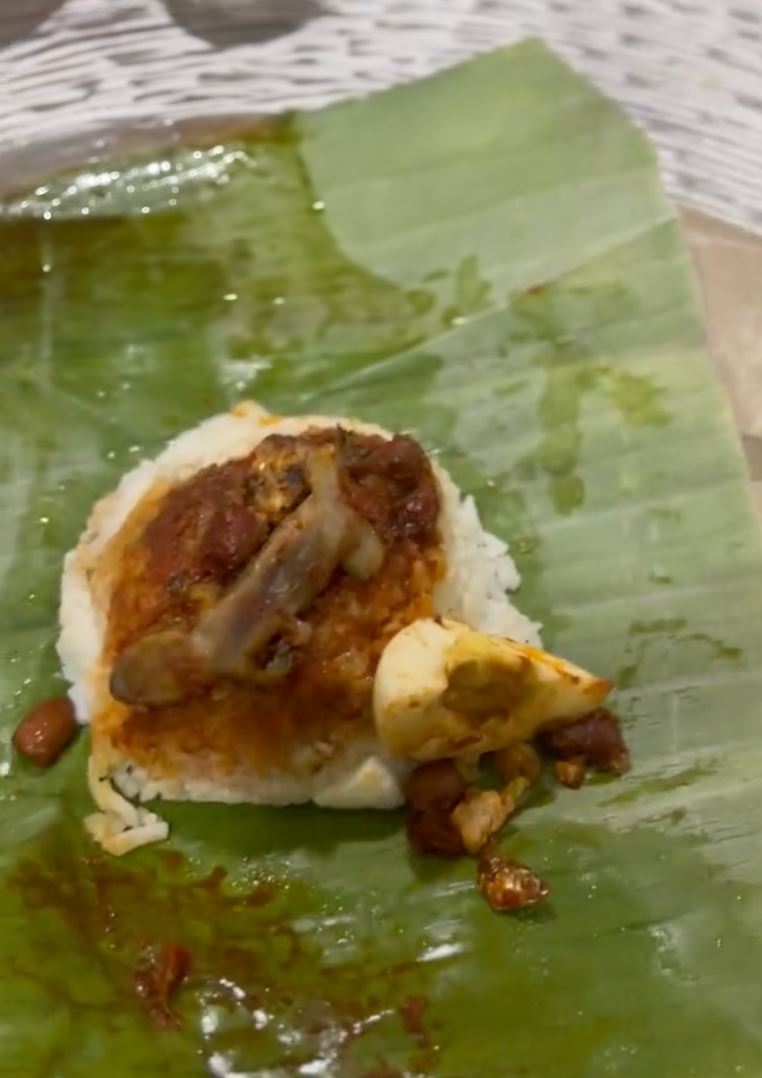 kembang tekak beli nasi lemak bungkus dapat ‘free’ bangkai cicak