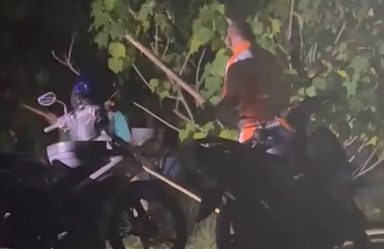 polis buru dua lelaki pukul anjing sampai mati di pulau pinang