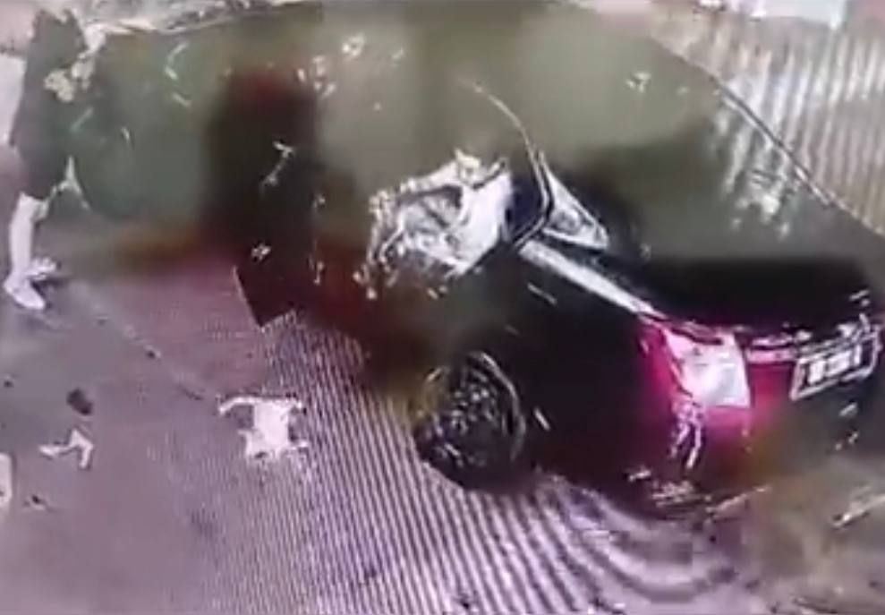 dua lelaki campak, dera kucing hingga cedera, “nampak macam dah nazak..”