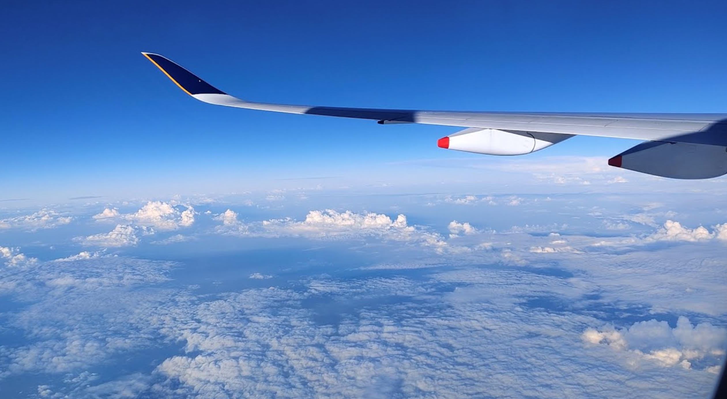 netizens extend support to 30-year-old m’sian who faced mockery for never traveling overseas