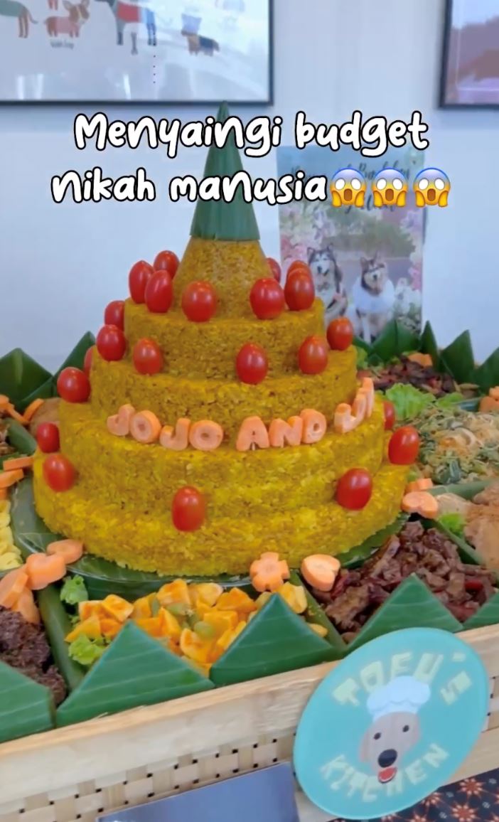 lain dari lain, dua ekor anjing dikahwinkan dalam satu majlis mewah cecah rm60 ribu