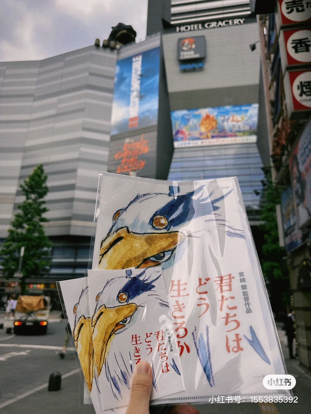 宫崎骏新作上映❗《你想活出怎样的人生》完全无预告😲