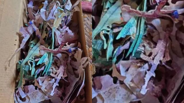 warga emas ‘berputih mata’, wang simpanan rm30,000 musnah