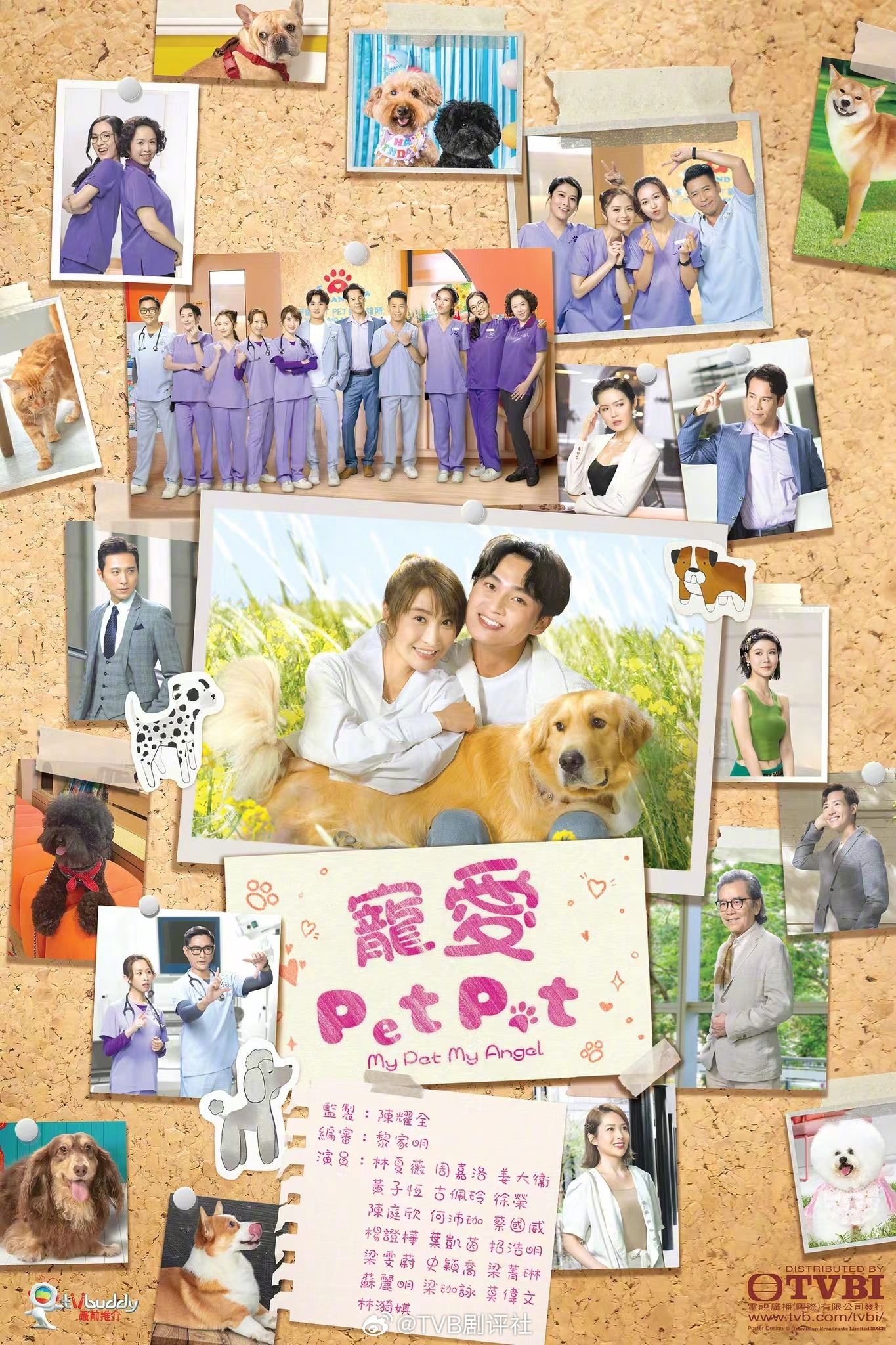 📺731两部tvb新剧开播❗️《破毒强人》《宠爱pet pet》登场🔥