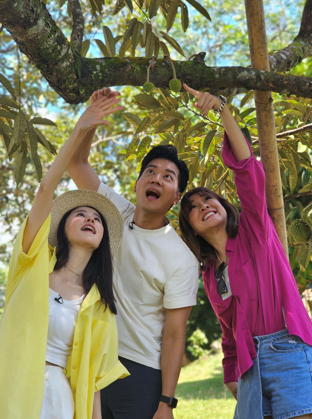 🌟《心度游》730开播❗️全在马来西亚取景🔥黎诺懿领军四位tvb女艺人及大马美女