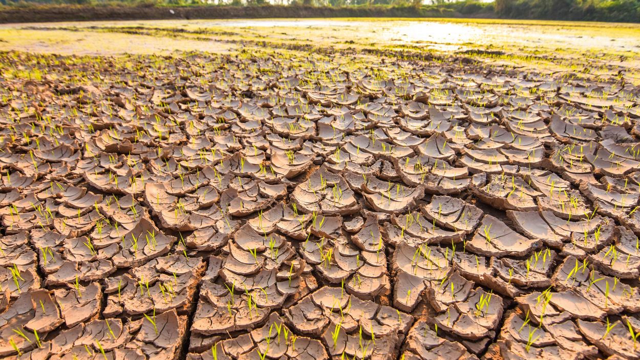 siap sedia, jerebu dijangka landa negara bulan ini ekoran dari fenomena el nino
