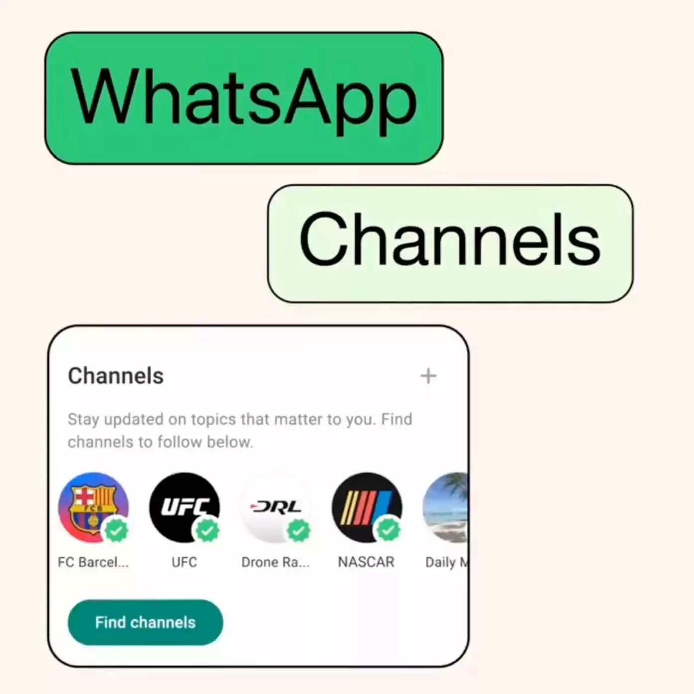 whatsapp推出「channel」功能！集中实体频道！