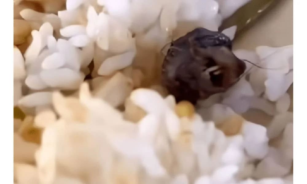 pelajar ngeri jumpa kepala tikus dalam nasi kantin tapi pihak sekolah kata kepala itik?