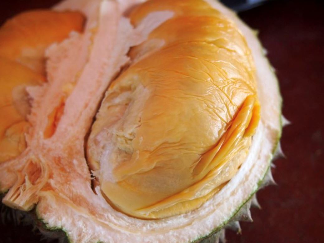 it’s durian szn! here are the types of durian you can find in malaysia
