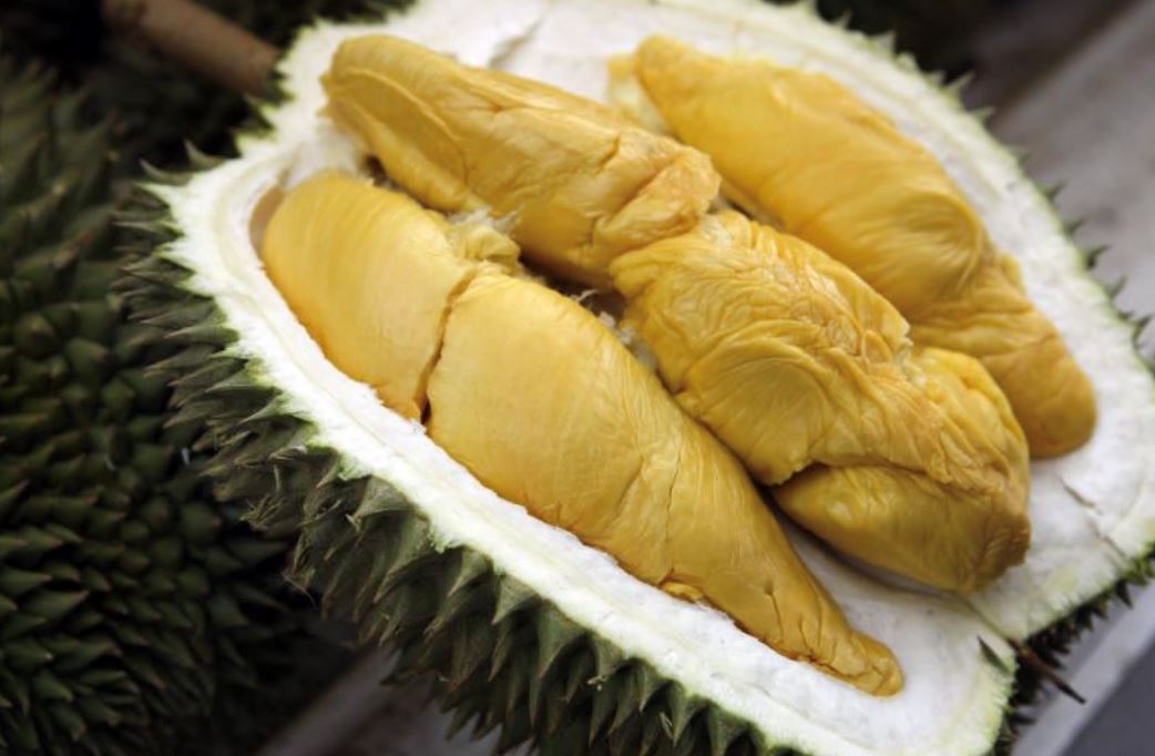 it’s durian szn! here are the types of durian you can find in malaysia