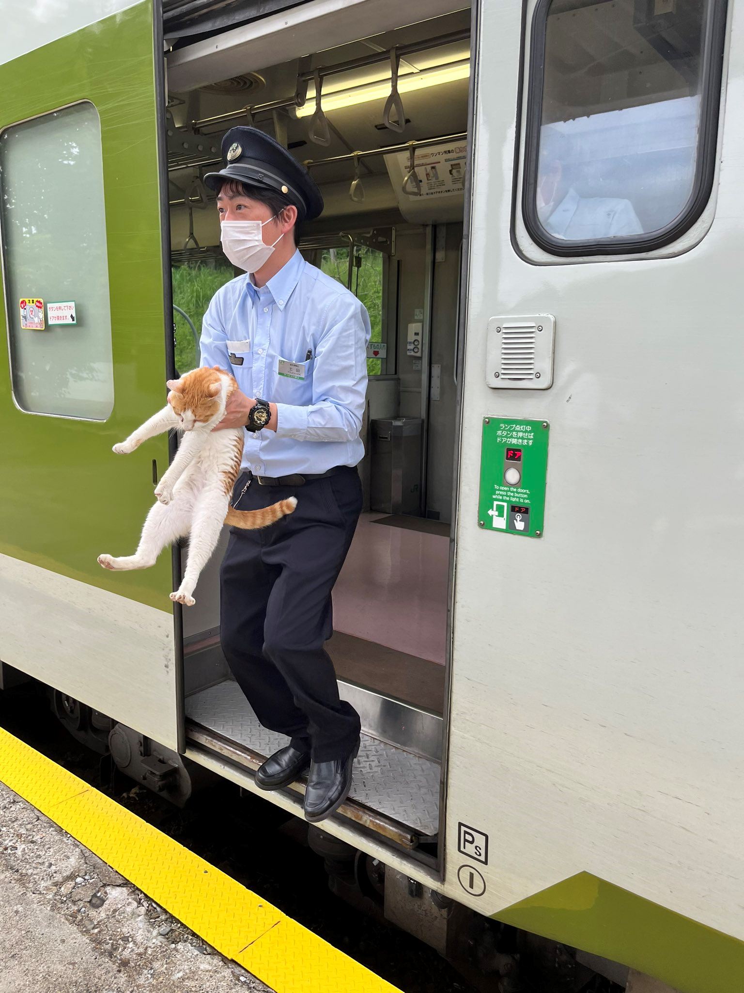 mischievous cat in japan delays train by 30 seconds, boards without ticket!