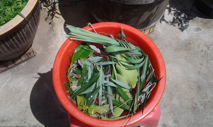 端午节接「午时水」可帮助转运！教你如何接水转运！