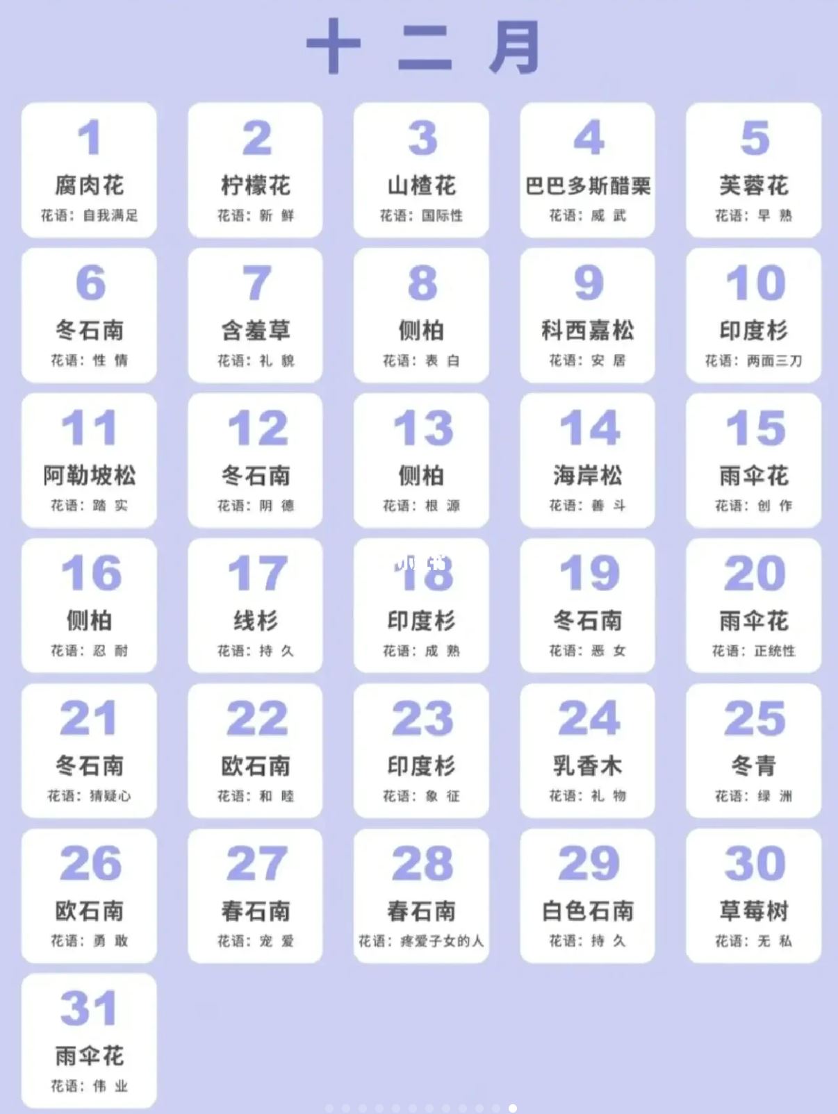 🎂原来生日也是有花语的❗️看ta哪天生日就送哪朵花吧🌸