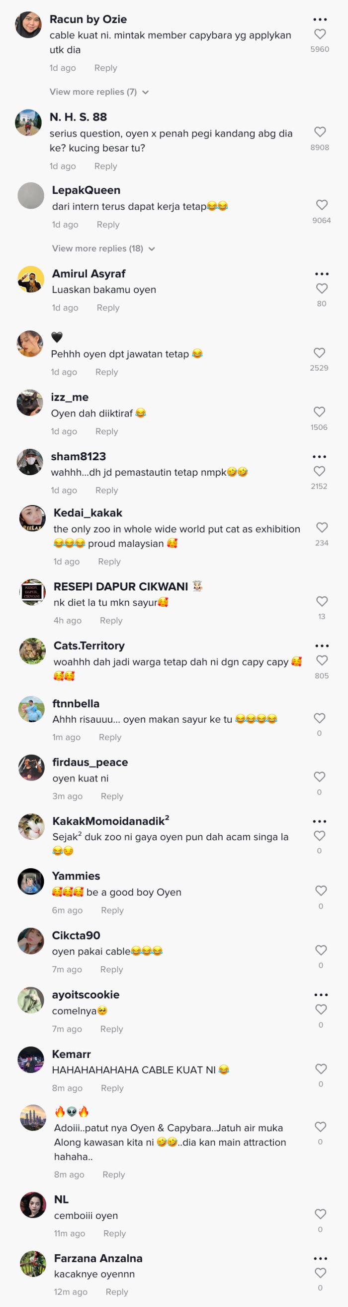 lebih dua tahun tumpang kandang, oyen kini rasmi penghuni kandang capybara di zoo negara