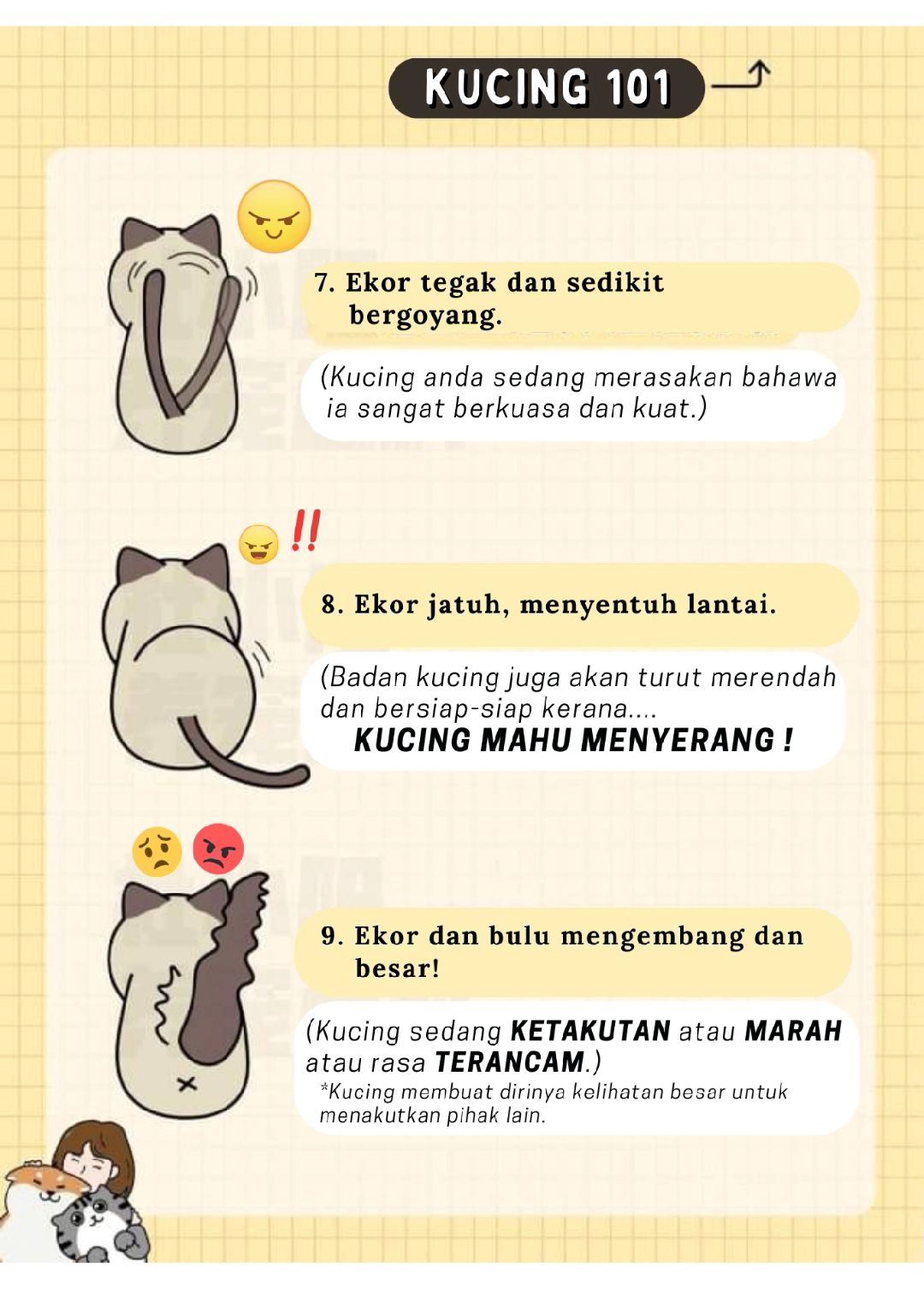 tengok ekor pun boleh faham, ini 12 bahasa kucing yang manusia patut belajar