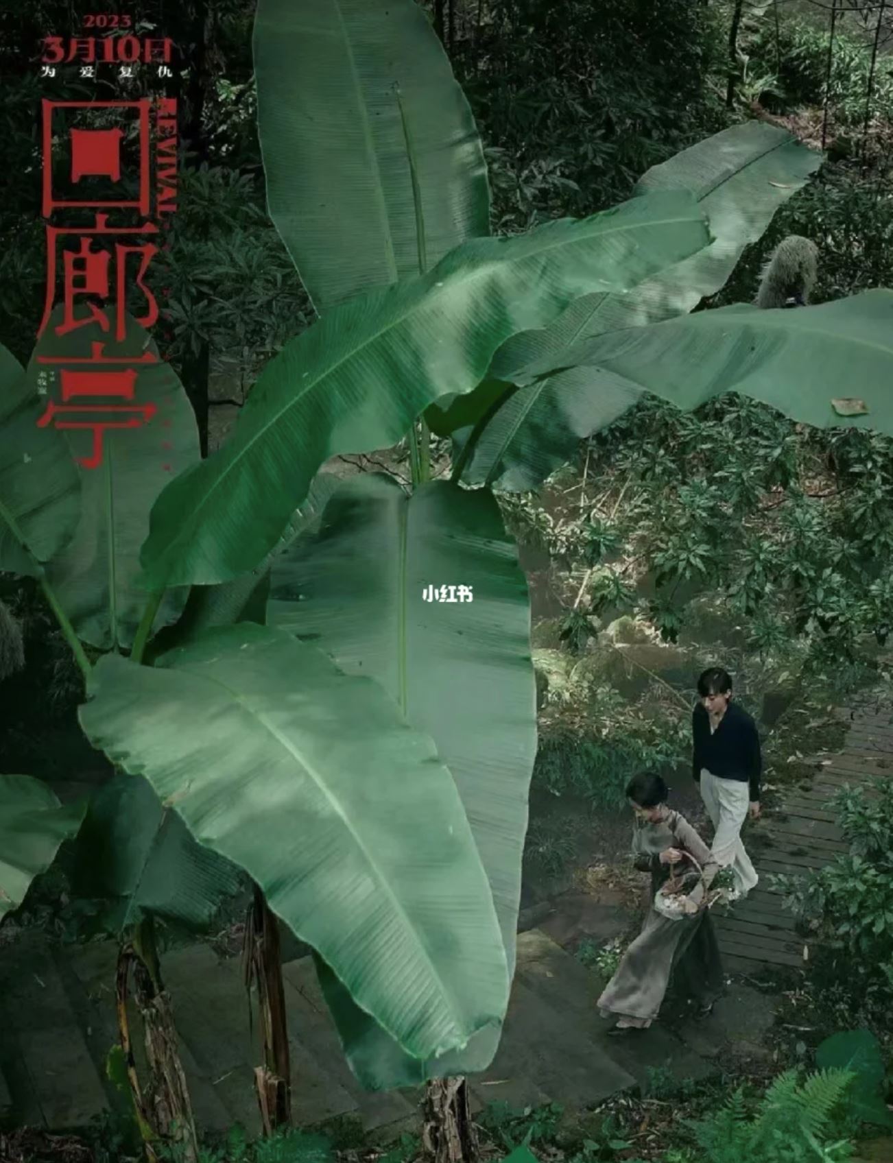 🎬改编自东野圭吾原著小说❗️悬疑电影《回廊亭》上演为爱复仇