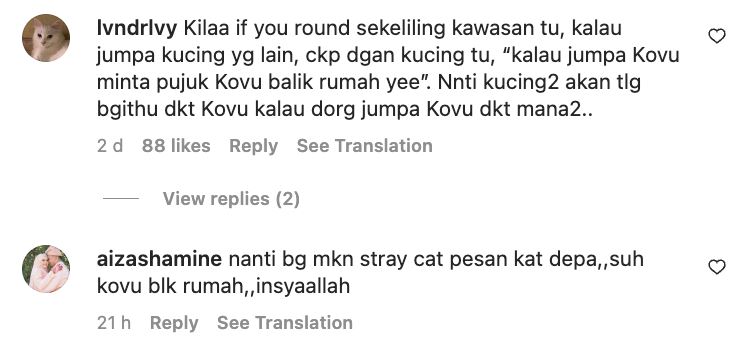 15 hari kucing tak balik rumah, kilafairy tawar rm2,000 pada sesiapa jumpa