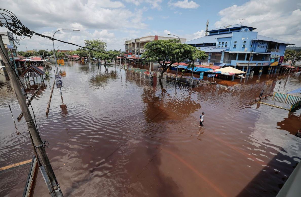 woman in johor braves through 12km of floodwaters to feed her cats at home