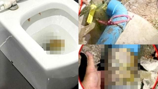 individu cuba pam mangkuk tandas tersekat rupanya ada ‘sesuatu’