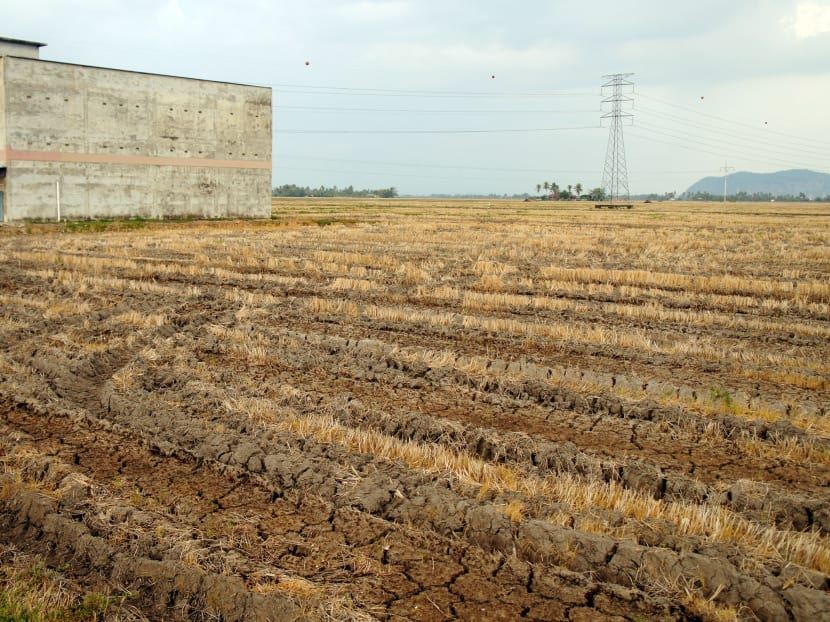 大马7月起至明年进入旱季！多地区或面对制水问题！