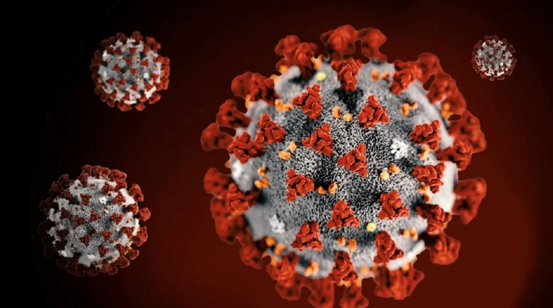 malaysian epidemiologists advise precautions as covid-19 positivity rates remain high