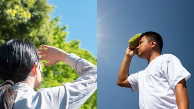 musim panas makin teruk, apa anda kena buat?