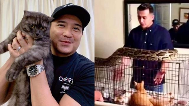 netizen selar tindakan letak ular atas sangkar kucing, datuk aaron aziz tampil beri penjelasan
