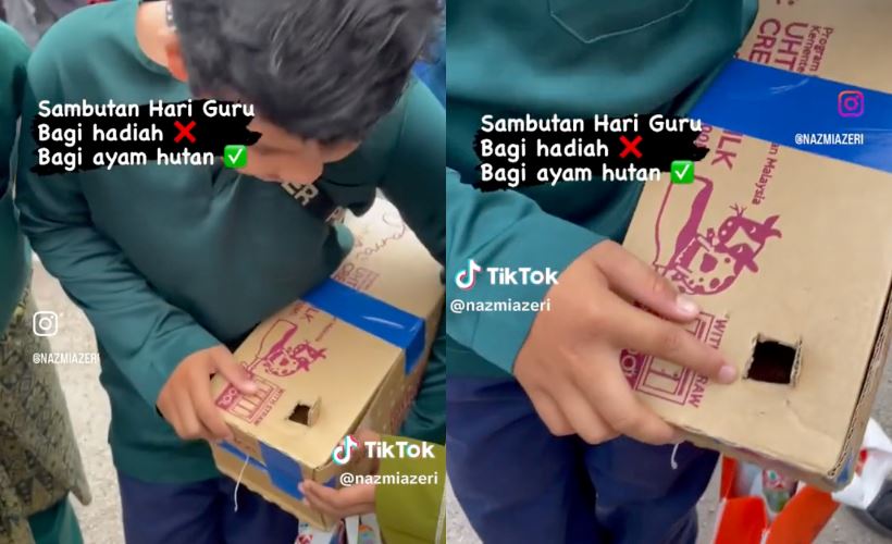 student surprises teacher on teacher's day with a special gift: a 'chicken'!