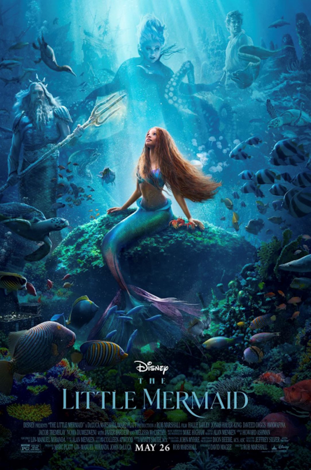 🧜《小美人鱼》5月25日上映啦❗️为了探索人类世界用声音换一双腿🔥