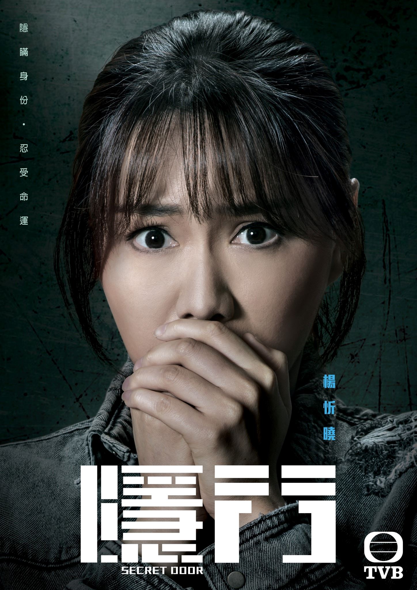 📺《隐门》5月29日开播❗️陈展鹏、黄智雯出演贼王的后代🔥