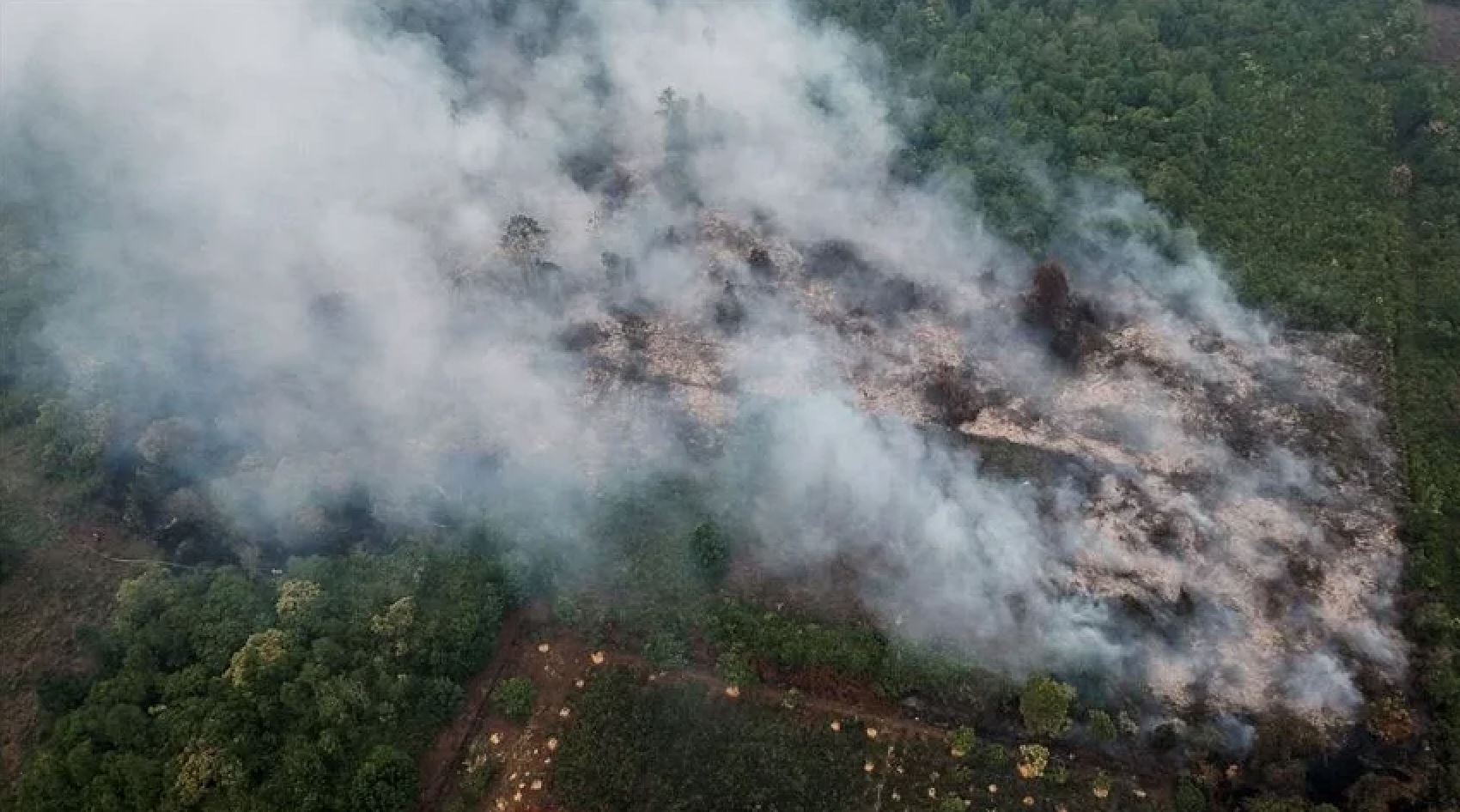 厄尔尼诺现象6月来袭！恐加剧烟霾情况！