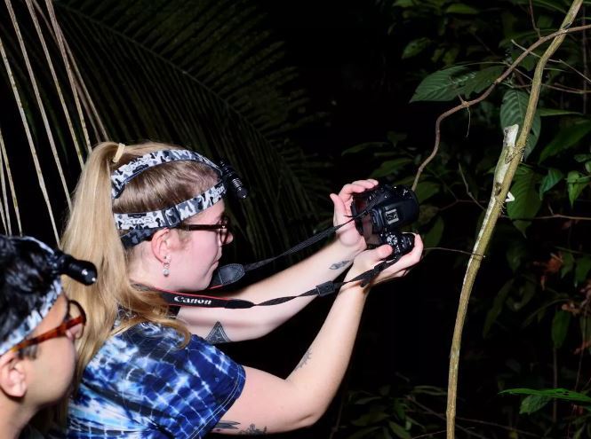 Hikers taking photo of lizard during night hike in Ampang