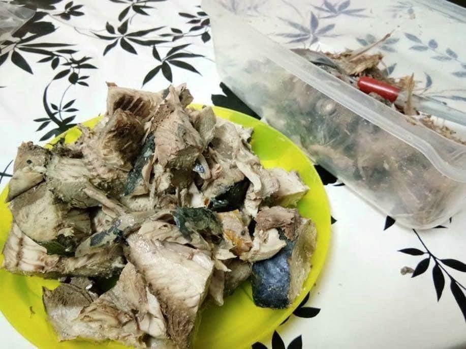 modal tak sampai rm15, ini cara nak buat sendiri wetfood kucing