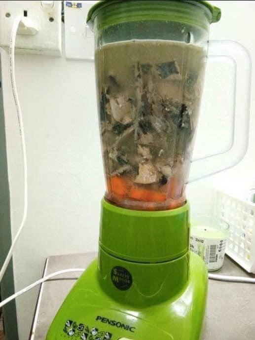 modal tak sampai rm15, ini cara nak buat sendiri wetfood kucing