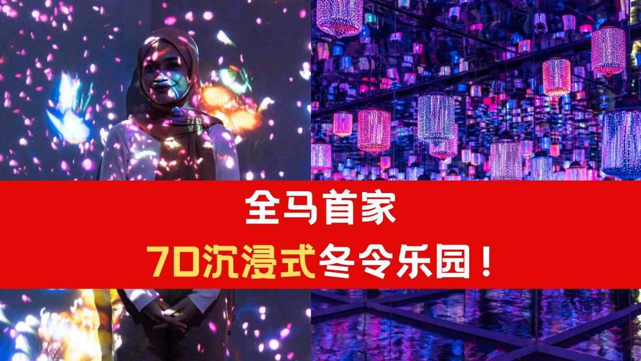 7d.png