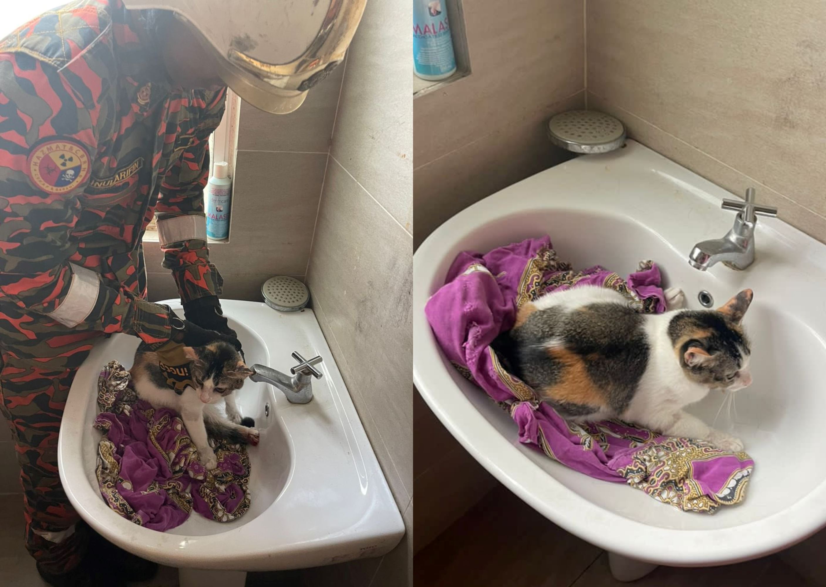 curious cat in rawang finds itself in sink bind, abang bomba to the rescue!