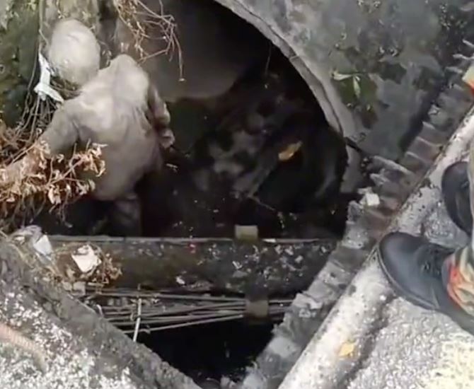 heroic abang bomba saves elderly homeless man trapped in 2-meter deep drain