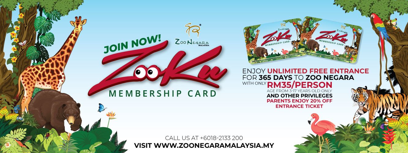 超优惠！只需rm35就可一年无限次参观动物园！