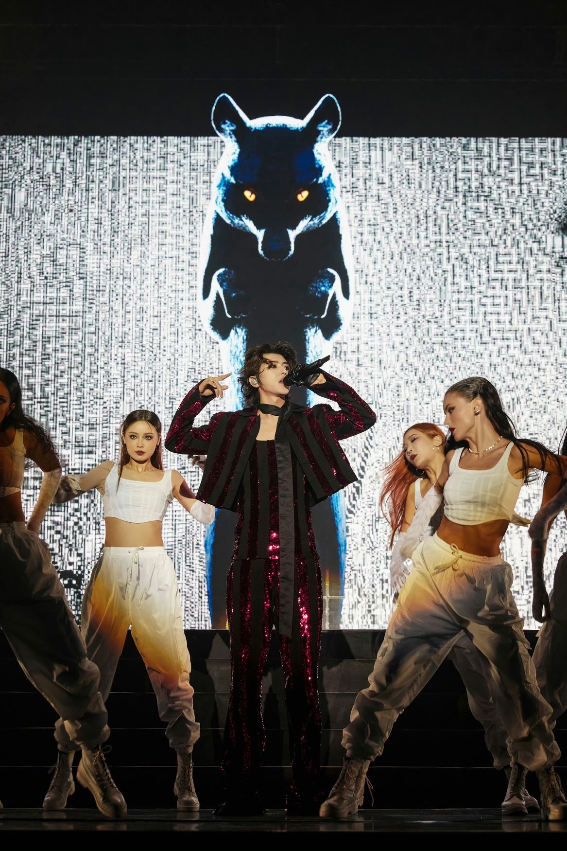 蔡徐坤演唱会首唱新歌《spotlight》❗鼓励粉丝勇敢追梦✨